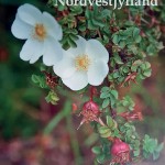 Botaniske lokaliteter i Nordvestjyllandst