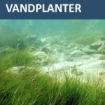 Danmarks Vandplanter 2