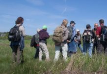Torsdagsmøde i Hummerhuset Bliv medlem af BFN