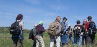 Foreningens aktiviteter – overblik (pdf) Bliv medlem af BFN