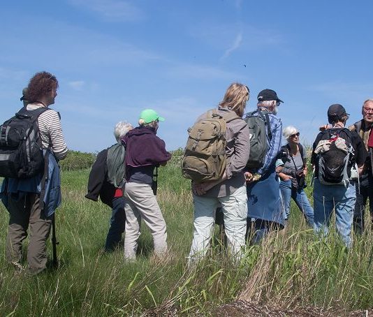 Torsdagsmøde i Hummerhuset Bliv medlem af BFN