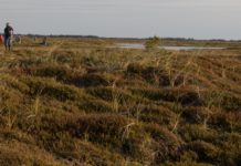 Har du interesse i nordvestjysk natur?