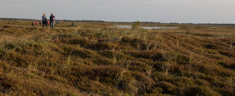 Har du interesse i nordvestjysk natur?