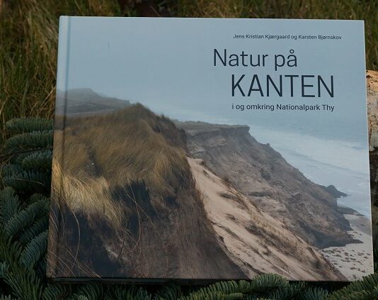 Natur på kanten.
