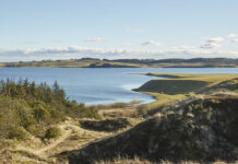 Naturnyt nr. 3 / 2020 kommer her i det nye år