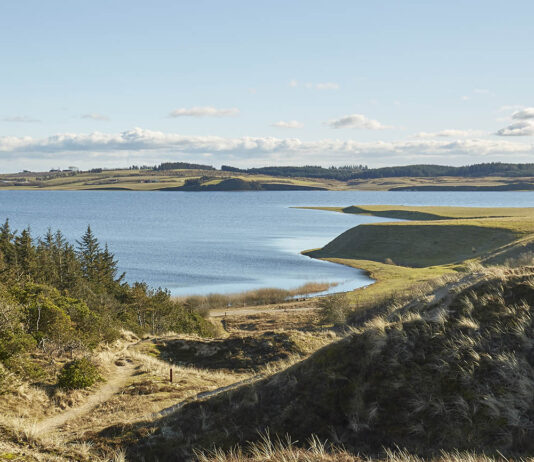 Naturnyt nr. 3 / 2020 kommer her i det nye år