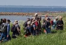 Torsdagsmøde i Hummerhuset