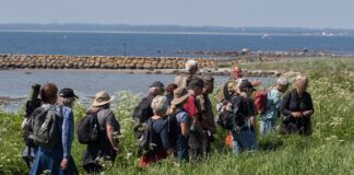 Torsdagsmøde i Naturcenter Tved Gl. Skole