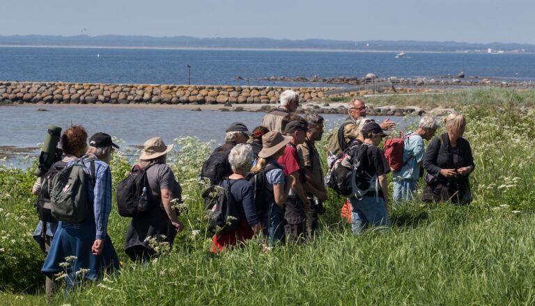 Torsdagsmøde i Hummerhuset