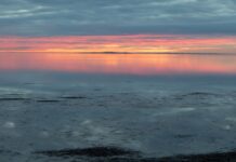 Livet på øer i havet og øer i landskabet