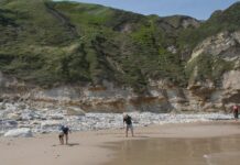 BFNs naturkurser – 2020