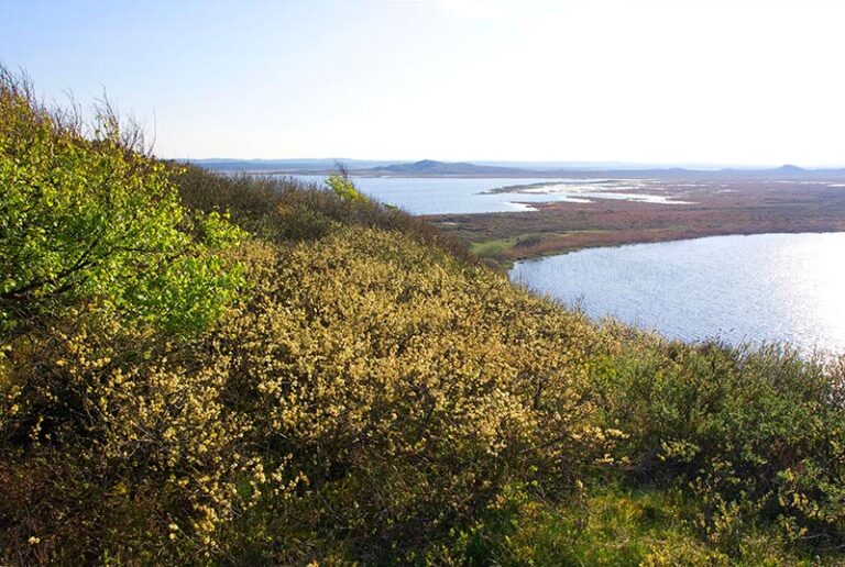 Offentlige foredrag om fremtidens natur, Aarhus Universitet | Livestream.