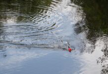 Fisketur til Førby Sø med BFNs Naturklub for børn