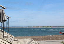 Sten og skaller på stranden med BFNs Naturklub for børn – AFLYST