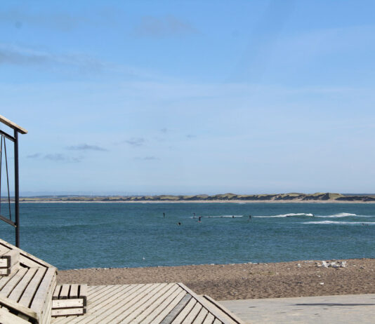 Sten og skaller på stranden med BFNs Naturklub for børn – AFLYST