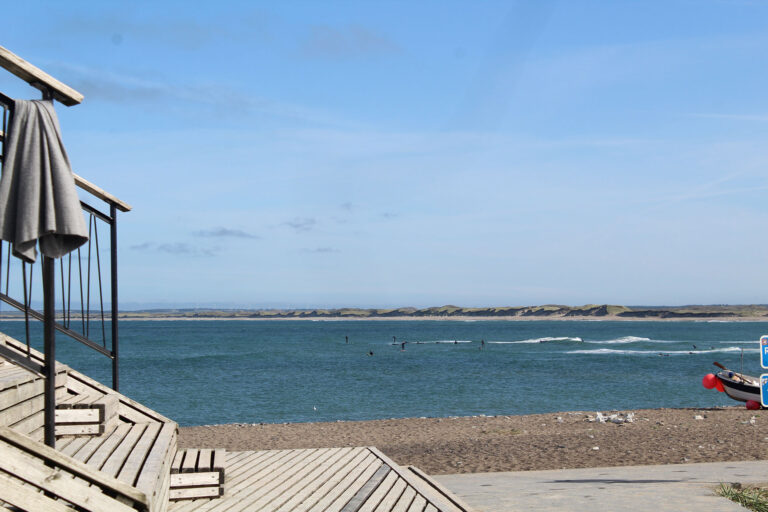 Sten og skaller på stranden med BFNs Naturklub for børn – AFLYST