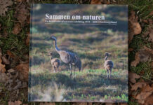 BFN markerer 50 års jubilæum med ny bog