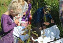 Naturklubben starter op efter sommerferien