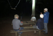 Se og hør flagermus i Thy – International Bat Night