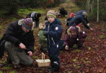 Naturklubben handler næste gang om svampe