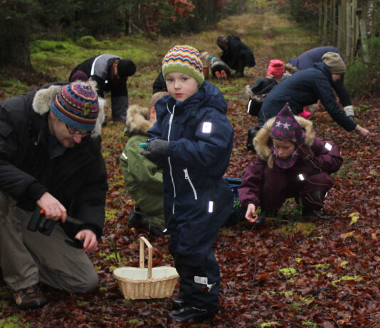 Naturklubben handler næste gang om svampe