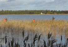 BFNs Naturklub for børn tager på fisketur lørdag den 23. oktober