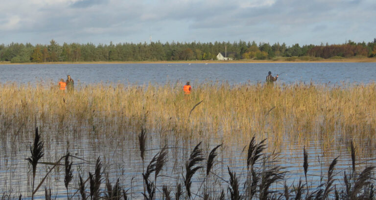 BFNs Naturklub for børn tager på fisketur lørdag den 23. oktober