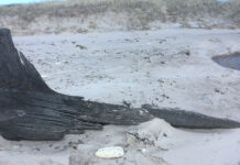 Naturklub for børn lørdag den 23. april