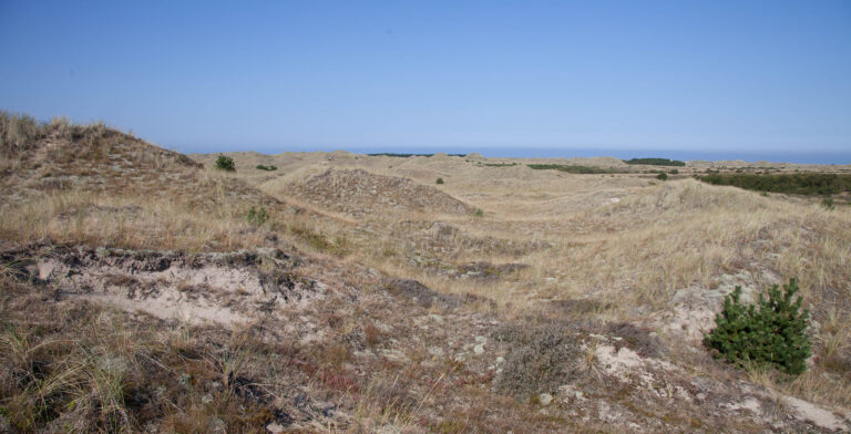 MELLEM VIGSØ OG FRØSTRUP – KLITLANDSKABETS KULTURHISTORIE