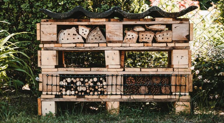 Næste tema for BFNs Naturklub er insekter og insekthoteller