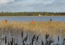 BFNs Naturklub for børn tager på fisketur