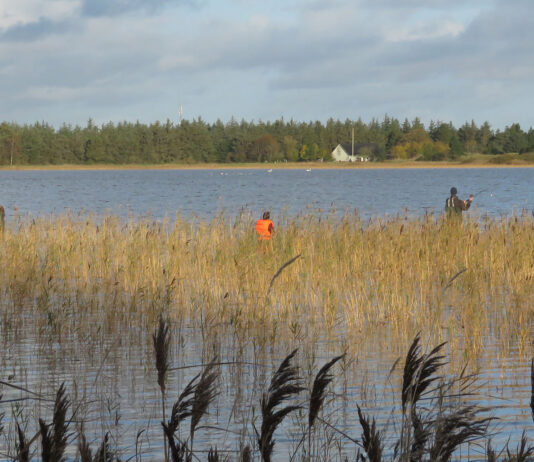 BFNs Naturklub for børn tager på fisketur