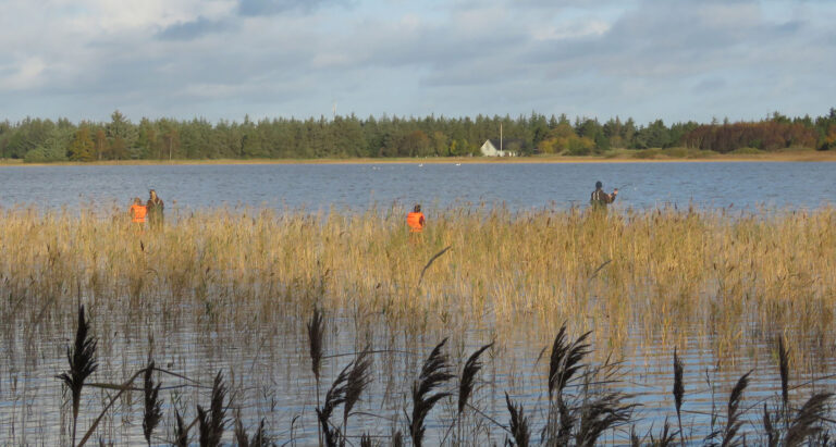 BFNs Naturklub for børn tager på fisketur