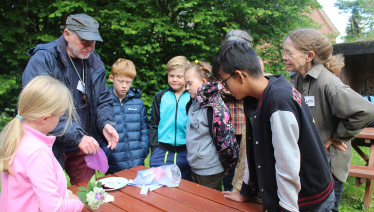 Nu starter BFN’s Naturklub op igen efter sommerferien