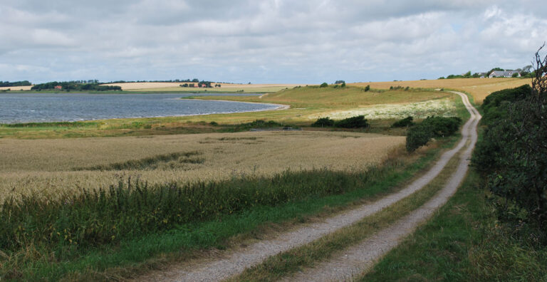 TEMALØRDAG – Landbrugets betydning for natur, miljø, samfund og klima.