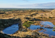 Torsdagsmøde i Hummerhuset