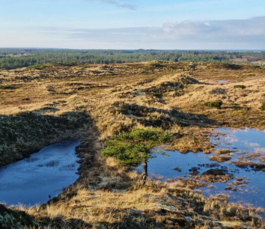 Torsdagsmøde i Hummerhuset