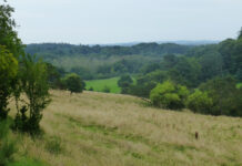 Rundvisning i Hammer Bakker