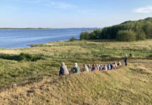 Spændende program fra BFN’s Naturkurser 2025