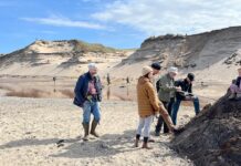 Naturnørderiet – på naturoplevelse omkring Lodbjerg Fyr