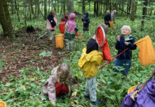 Naturklubben for børn: Livet i skoven