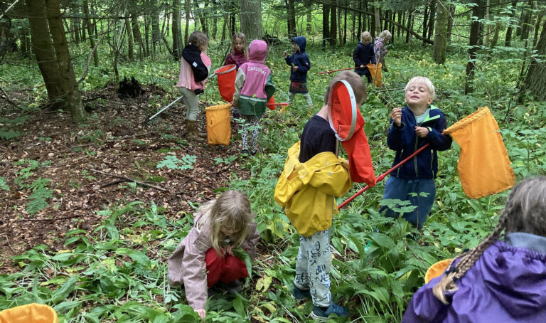 Naturklubben for børn: Livet i skoven