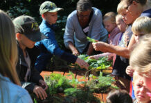 Naturnørderiet – i og omkring Naturcenter Tved Gl. Skole.
