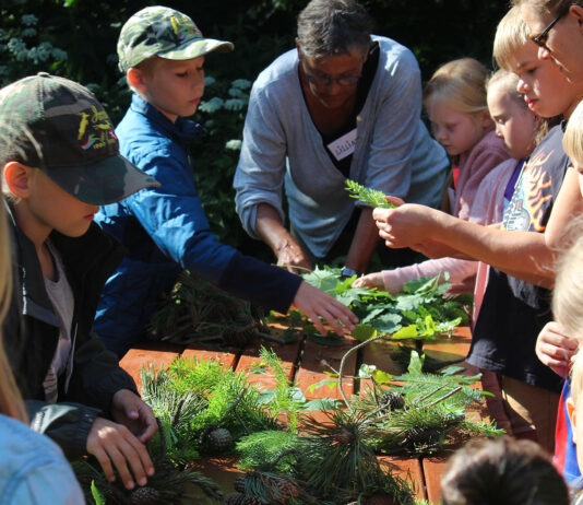 Naturnørderiet – i og omkring Naturcenter Tved Gl. Skole.
