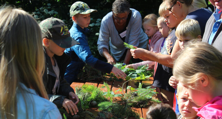 Naturnørderiet – i og omkring Naturcenter Tved Gl. Skole.