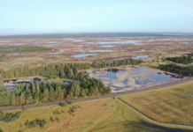 Ekskursion til naturprojektet Udmark