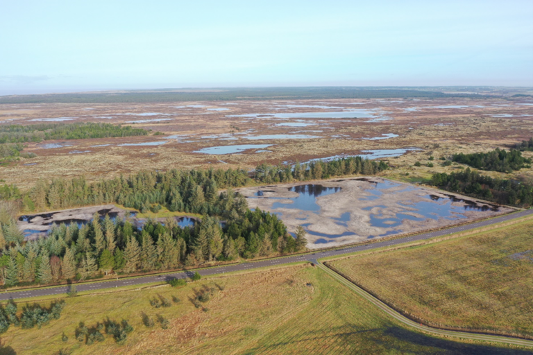 Ekskursion til naturprojektet Udmark