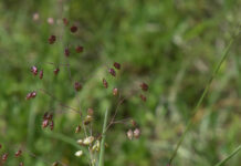 Foredrag med MORTEN DD