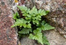 Naturoplevelser i 2024