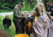 Naturklubben for børn: Sommerfugle og andre skønheder